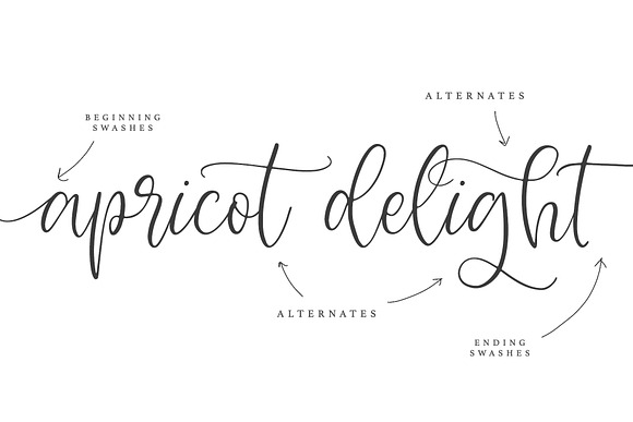 Apricot Delight | Romantic Script in Script Fonts - product preview 4