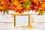 Autumn leaves and golden frame