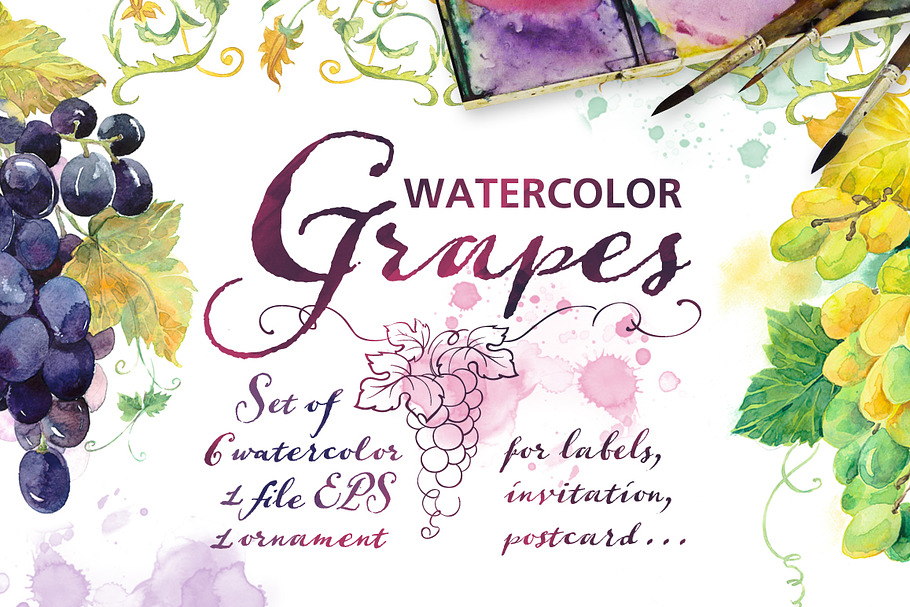 Set Watercolor "Grapes" in Illustrations - product preview 8