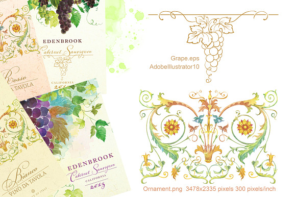 Set Watercolor "Grapes" in Illustrations - product preview 4