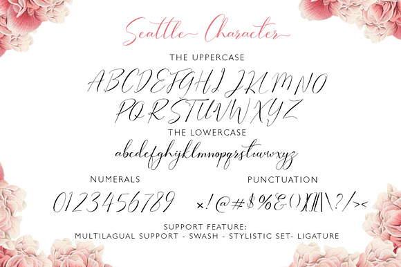 Seattle Script in Fonts - product preview 4