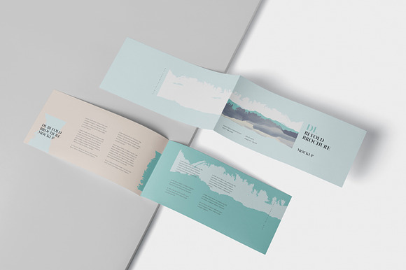 DL Bi-Fold Brochure Mock-Up in Branding Mockups - product preview 4
