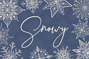 Snowy | 65 snowflakes illustrations