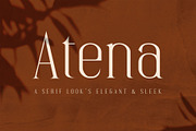 Atena - Serif Font