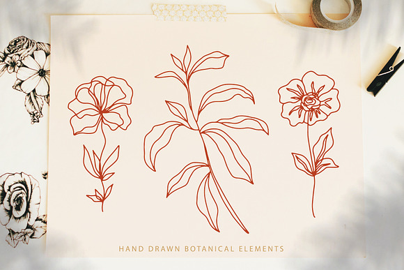 Modern Floral Abstract Collection in Graphics - product preview 11