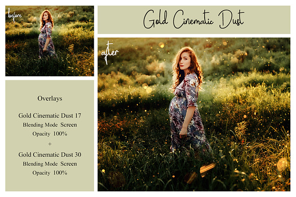 95 Gold Dust Overlays for PS in Add-Ons - product preview 2