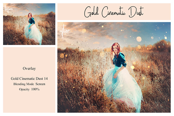 95 Gold Dust Overlays for PS in Add-Ons - product preview 7