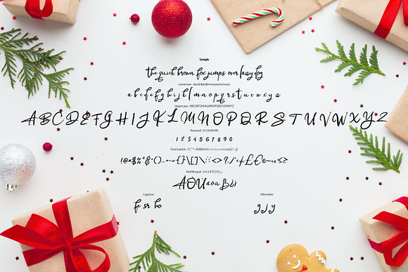 Alrogty | Modern Script Font in Script Fonts - product preview 5