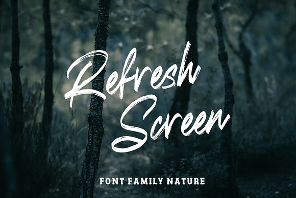 Refresh Screen Brush Script Font Duo in Display Fonts - product preview 6
