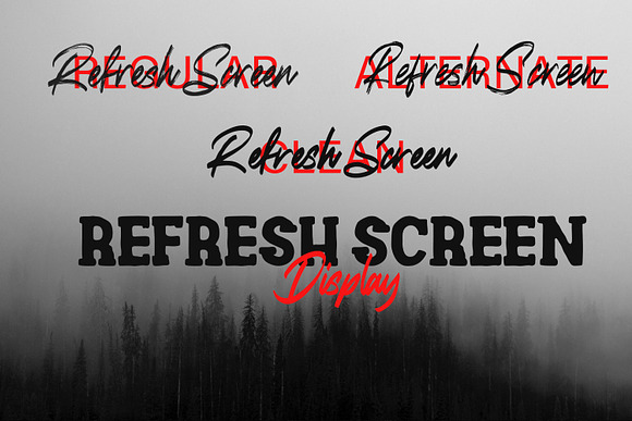 Refresh Screen Brush Script Font Duo in Display Fonts - product preview 9