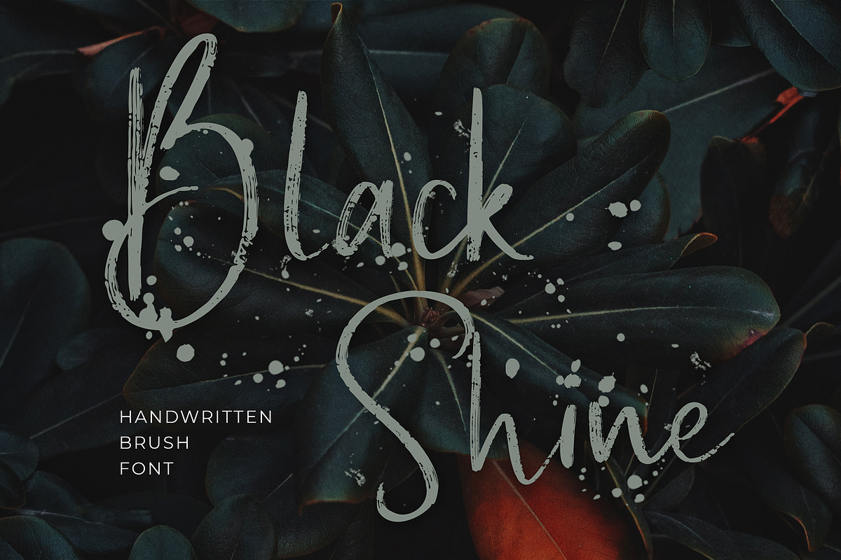 Black Shine Script Brush Font in Script Fonts - product preview 8