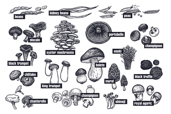 Vegetables and mushrooms. in Illustrations - product preview 7