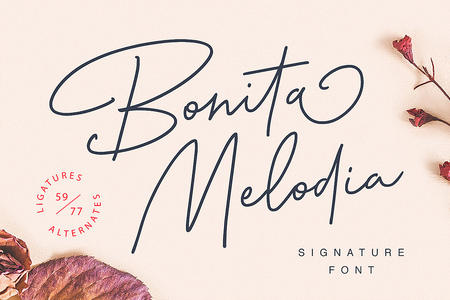 Bonita Melodia Script in Script Fonts - product preview 8
