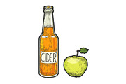 Cider bottle and apple sketch vector