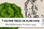 Trees in Plan View