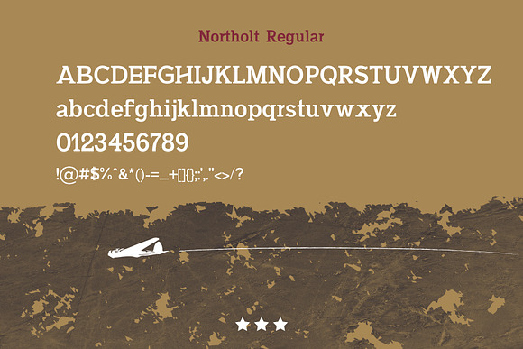 Northolt - A Slab Serif Font Family in Slab Serif Fonts - product preview 3