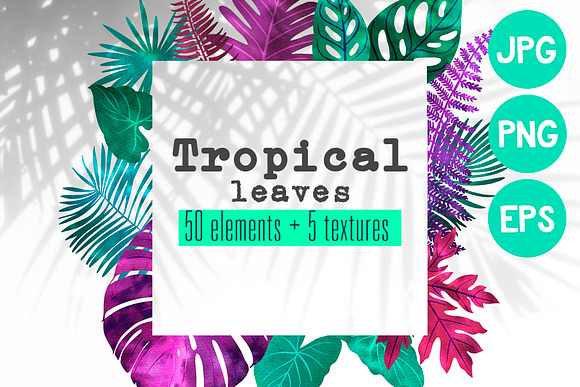 Tropical leaves in Illustrations - product preview 5