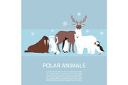 Polar and arctic animals and birds