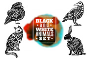 Black and White Animals