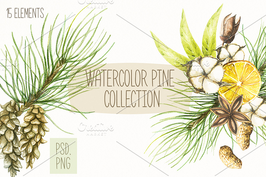 Watercolor pine collection in Illustrations - product preview 8