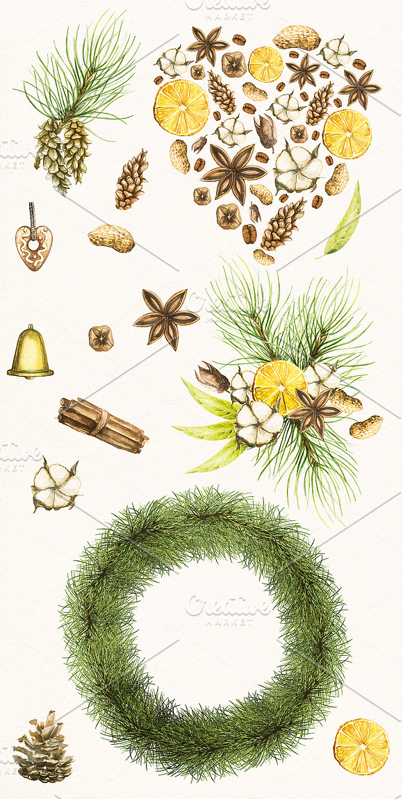 Watercolor pine collection in Illustrations - product preview 1