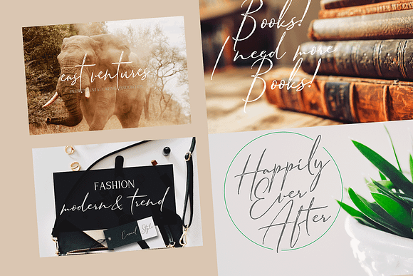 Calligraphy Special Bundle in Script Fonts - product preview 3