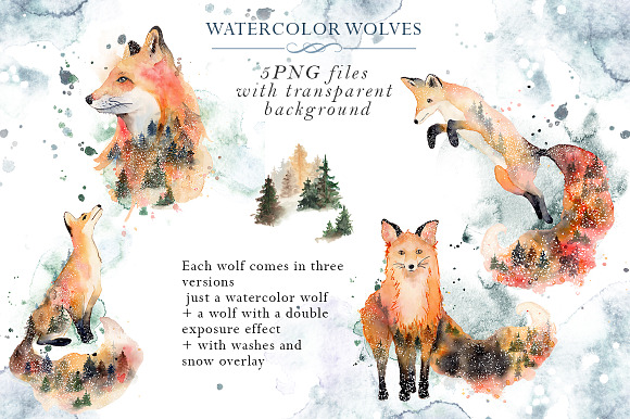 Woodland story Vol.2 Foxes in Illustrations - product preview 2