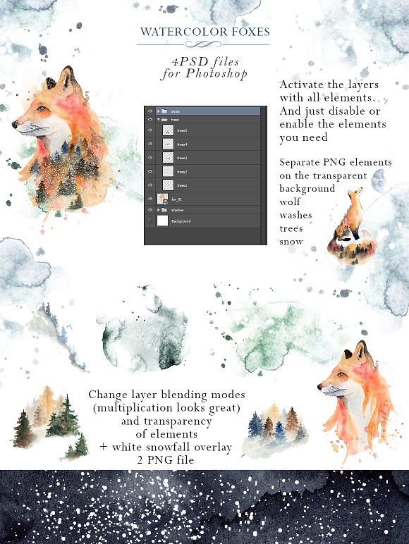 Woodland story Vol.2 Foxes in Illustrations - product preview 3