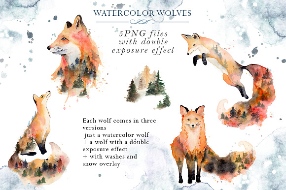 Woodland story Vol.2 Foxes in Illustrations - product preview 4