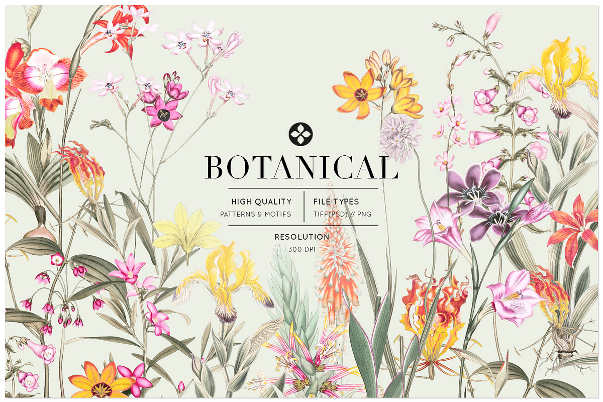 Botanical, Luxury Patterns & Motifs! in Patterns - product preview 8