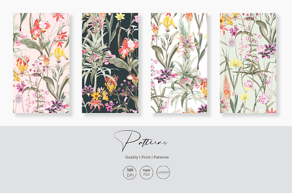 Botanical, Luxury Patterns & Motifs! in Patterns - product preview 1