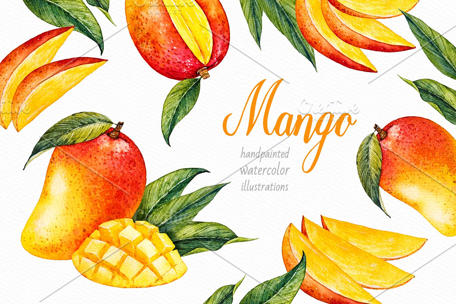 Mango. Watercolor.