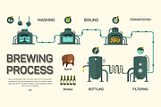 Beer brewing process infographic