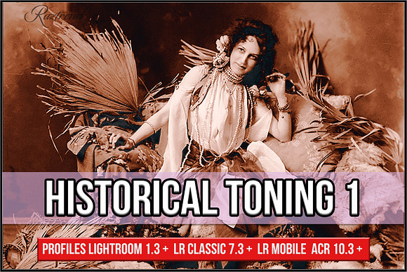 Historical Toning I Profiles LR&ACR in Photoshop Plugins - product preview 7