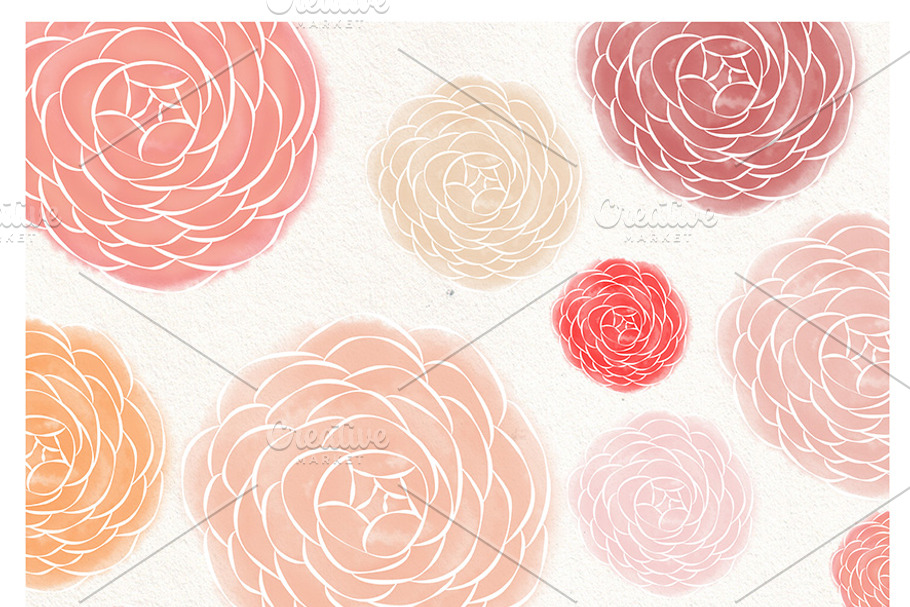 Ranunculus flower watercolor in Illustrations - product preview 8