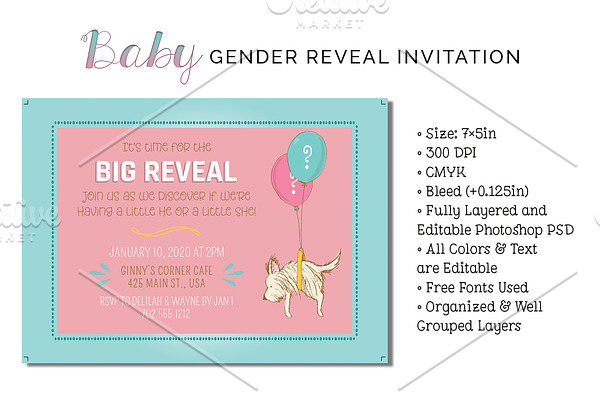 Baby Gender Reveal Invitation