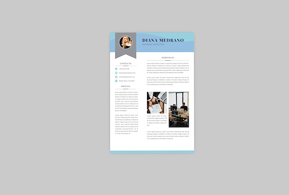 Diana Business Resume Designer in Resume Templates - product preview 3