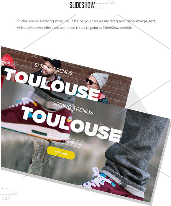 Ap Shoes Prestashop Theme in Website Templates - product preview 7