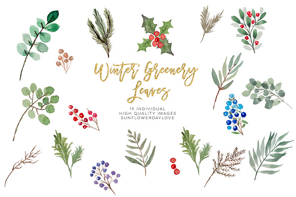winter greenery leaves clipart