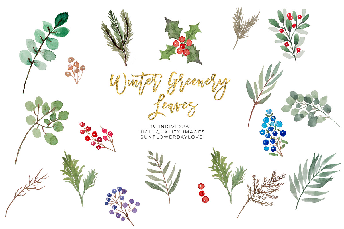 winter greenery leaves clipart in Illustrations - product preview 8