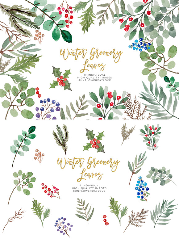 winter greenery leaves clipart in Illustrations - product preview 1