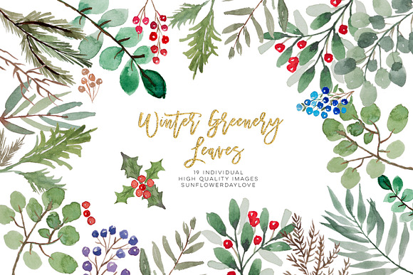 winter greenery leaves clipart in Illustrations - product preview 2