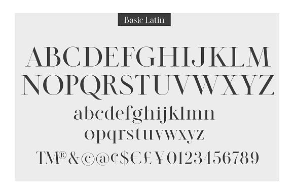 Legatum font family (5 fonts) in Serif Fonts - product preview 2