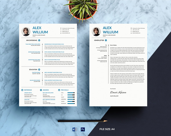 10 Resume & Cover-letter Bundle in Resume Templates - product preview 2