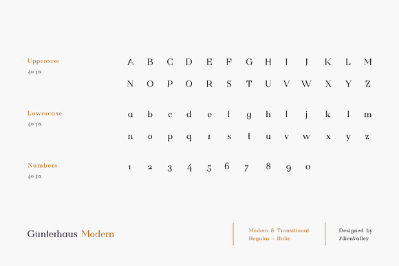 Gunterhaus - Modern & Transitional in Serif Fonts - product preview 3