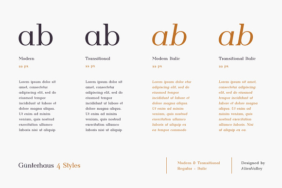 Gunterhaus - Modern & Transitional in Serif Fonts - product preview 6