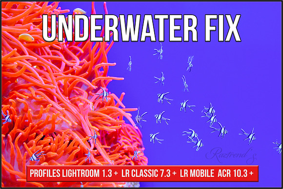 Underwater Fix Profiles for LR & ACR in Photoshop Plugins - product preview 11