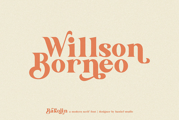 Bakojin//Modern Serif Font in Serif Fonts - product preview 1