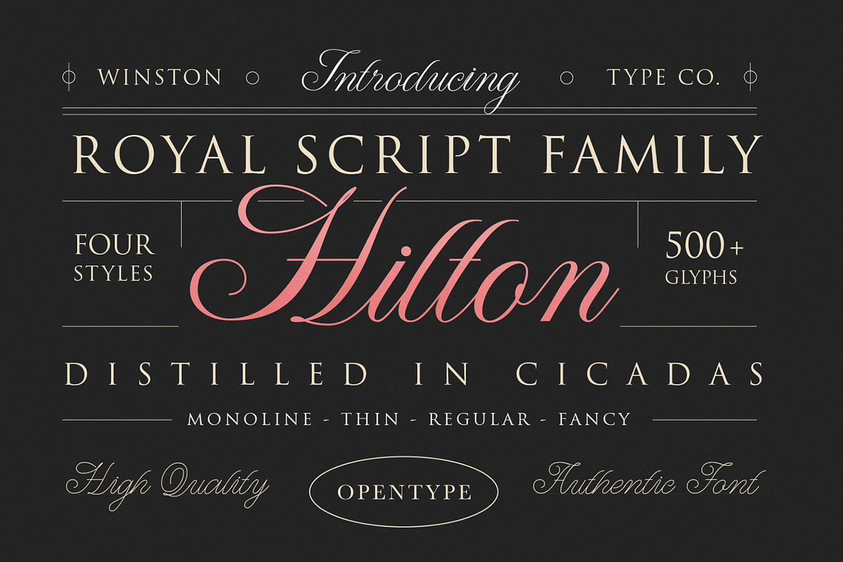 WT Hilton Script in Fonts - product preview 8