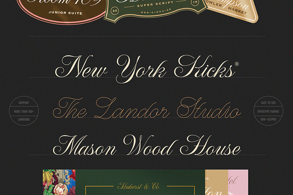 WT Hilton Script in Fonts - product preview 1